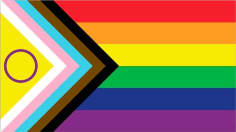 Bandera LGTBI+